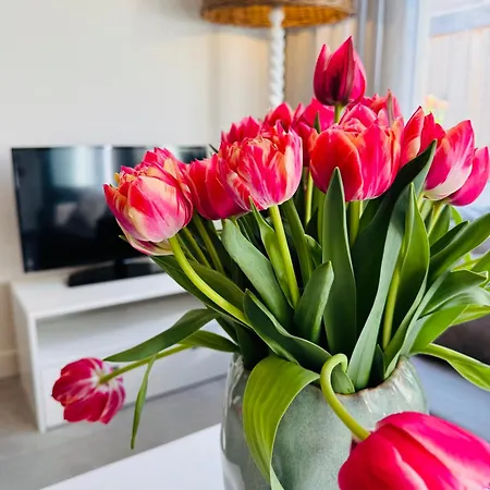 Apartment Zomerhuis Aurora Aan Zee