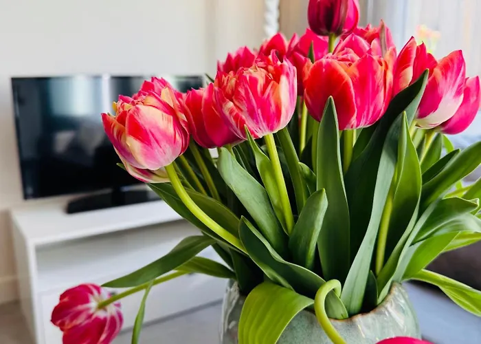 Apartamento Zomerhuis Aurora Aan Zee