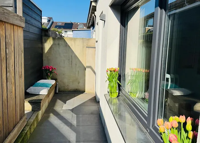 Zomerhuis Aurora Aan Zee アパート ノールトウェイク